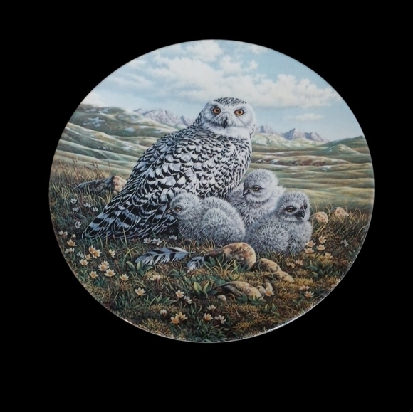 Edwin Knowles Other - First Issue In "Under Mother's Wings"